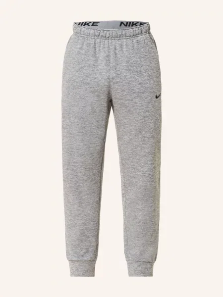 Nike Tréninkové Kalhoty Therma Fit šedá