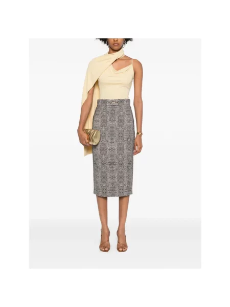 Spódnica midi Elisabetta Franchi szara
