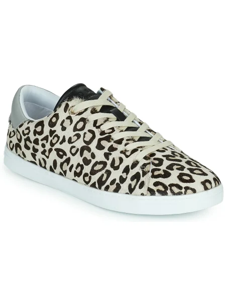 Tenisky Ted Baker