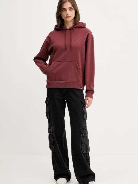 Кофта Dickies CLANCY з капюшоном однотонна чорний