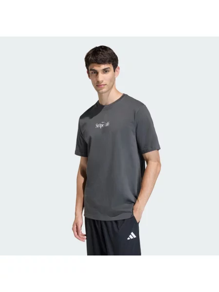 ADIDAS SPORTSWEAR Funkční tričko DONUT kaštanově hnědá / antracitová / petrolejová bílá