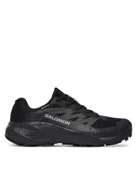 Salomon Buty do biegania Alphaglide Gtx W Granatowy