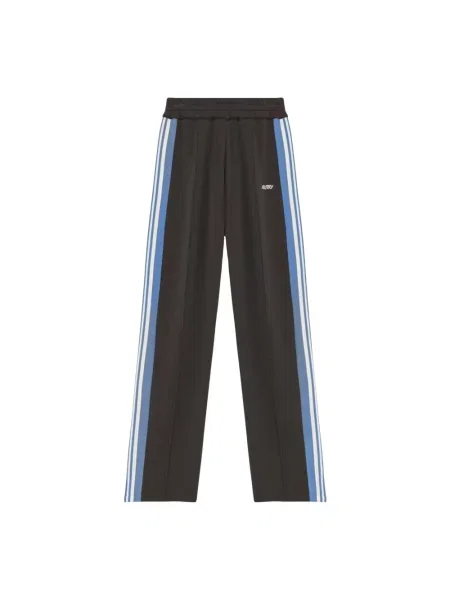 Wielobarwność joggery Autry szare