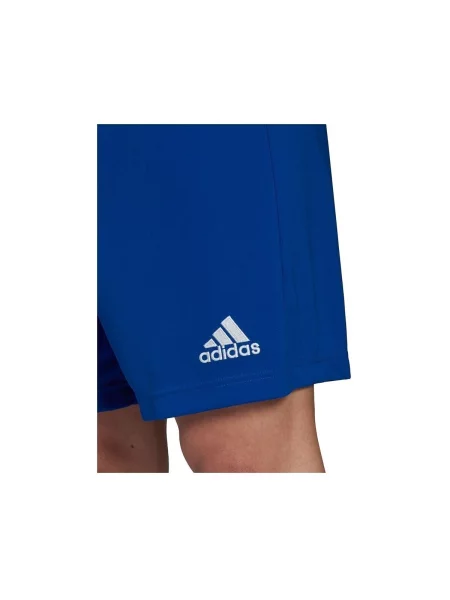 Sportske hlače Adidas bijela