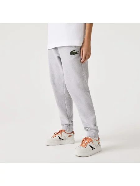 Спортивные штаны Lacoste серые