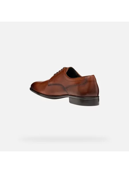 Trampki Geox Thalos Brown EUR 46 czarne