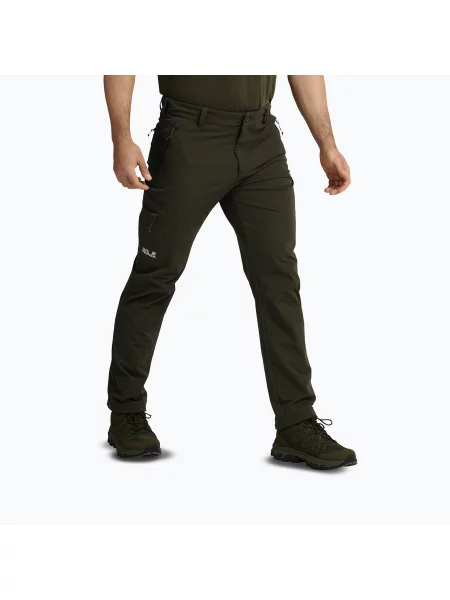 Pantaloni de trekking pentru bărbați Jack Wolfskin Activate Flex obsidian moss