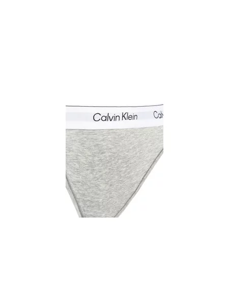 Calvin Klein Underwear Klasikinės kelnaitės pilka
