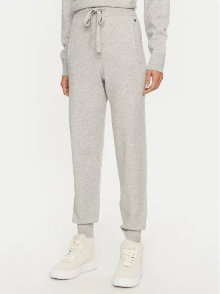 REPLAY Спортивні штани сірий