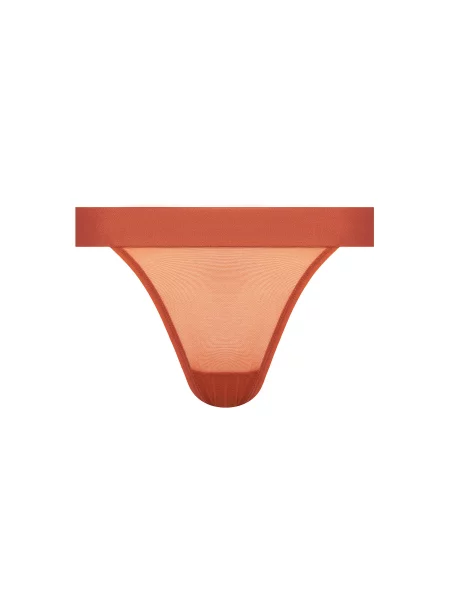 DKNY Klasične spodnje hlačke rjava