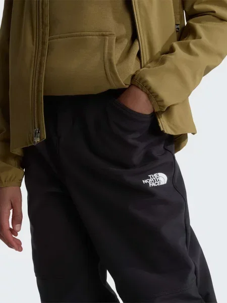 Термо лыжные штаны The North Face черные