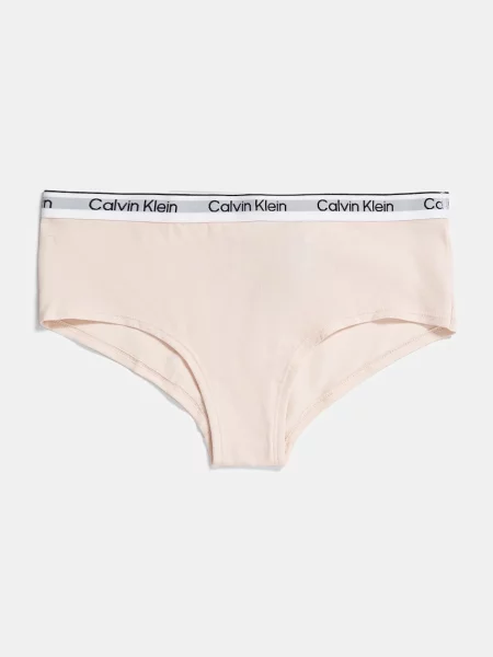 Calvin Klein Underwear Detské nohavičky sivá