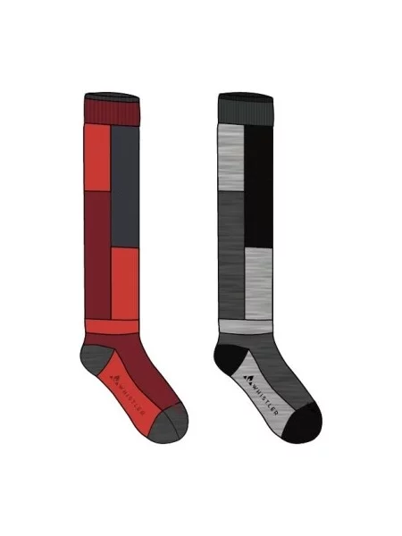 Jeździć na nartach skarpety Whistler szare