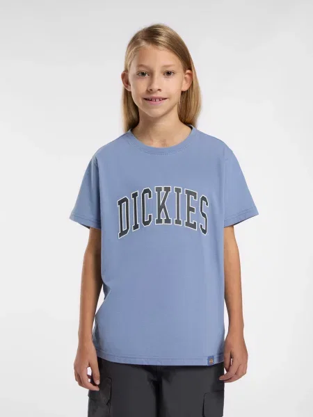 Дитяча Футболка Dickies Aitkin блакитний