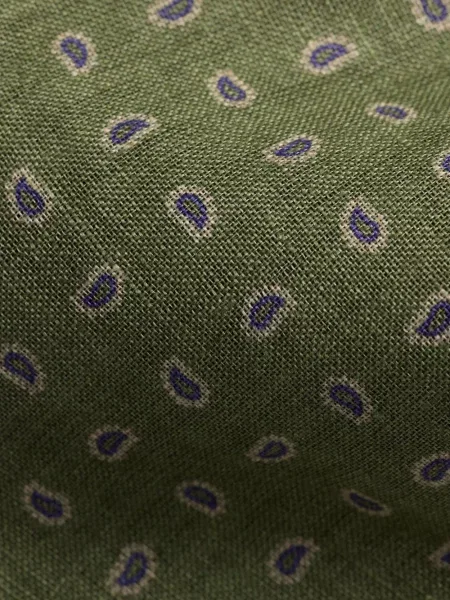 Cravată Polo Ralph Lauren de in cu imagine în carouri verde