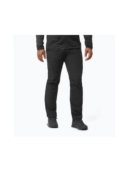 Штани трекінгові Salomon Wayfarer deep black чорні