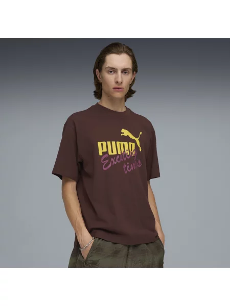 PUMA koszulka House of Graphics Casual Odzież S brązowy