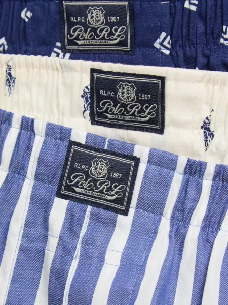 Hanorac cu glugă Polo Ralph Lauren cu dungi cu imagine albastru
