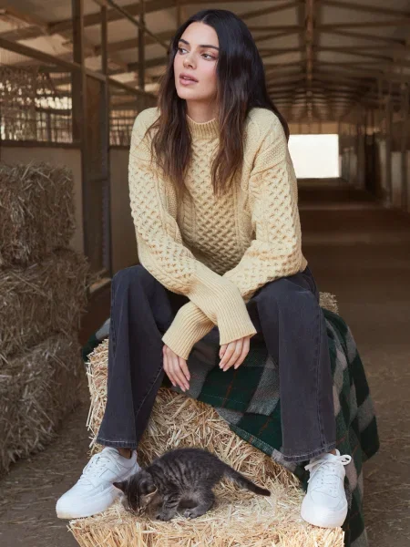 Kendall for ABOUT YOU Jeans Ella denim gri