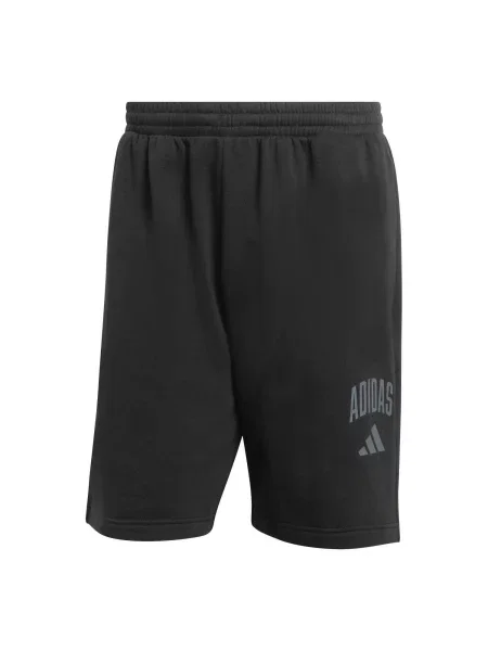 ADIDAS SPORTSWEAR Pantaloni sport COLLEGIATE' negru