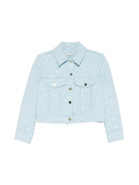 Bluzka Alice + Olivia tweedowa niebieska