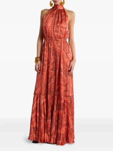 Rochie maxi Etro cu model floral cu imagine plisată roșu