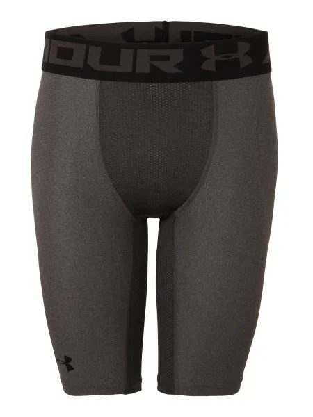 UNDER ARMOUR Sportske hlače blata / tamo siva