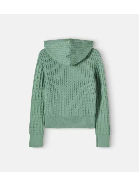 Gyerek kardigán Polo Ralph Lauren zöld