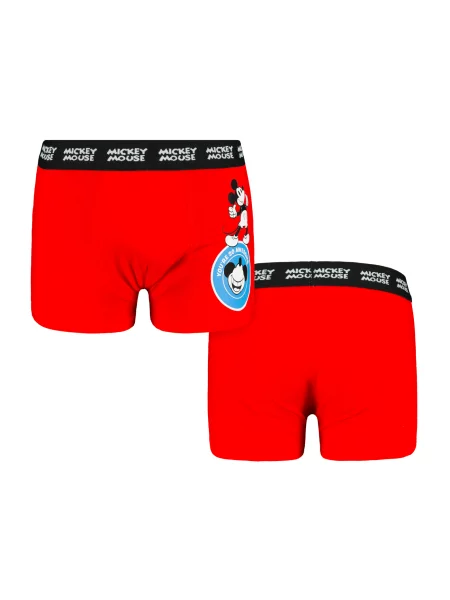 Boxeri copii Licensed