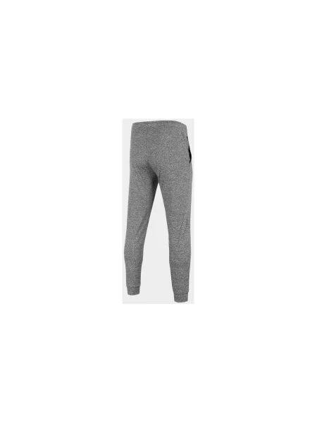 Pantaloni 4f gri