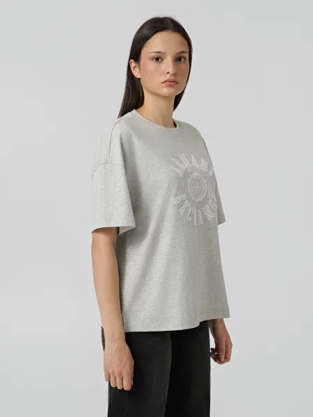 Футболка Armani Exchange сірий