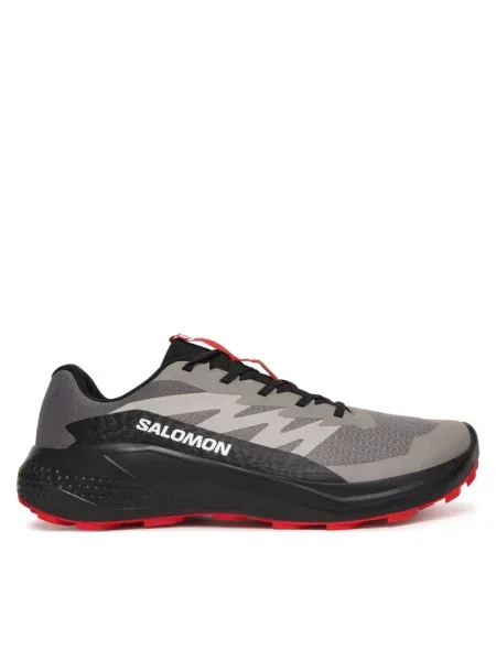 Salomon Buty do biegania Alphaglide szary