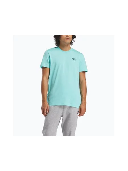 Футболка Reebok Identity Small Logo Tee ai aqua