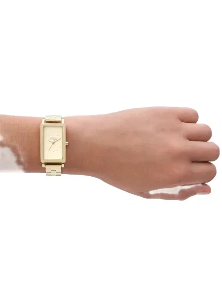 Ceas Skagen
