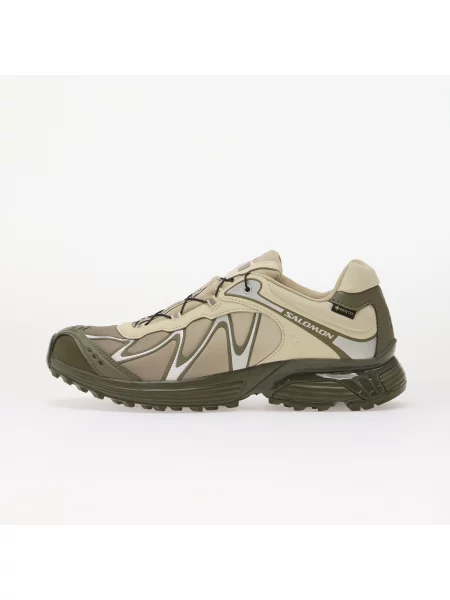 Pantofi Salomon XT-Whisper GTX Aspargus Green/ Deep Lichen Green/ Grape Leaf verde