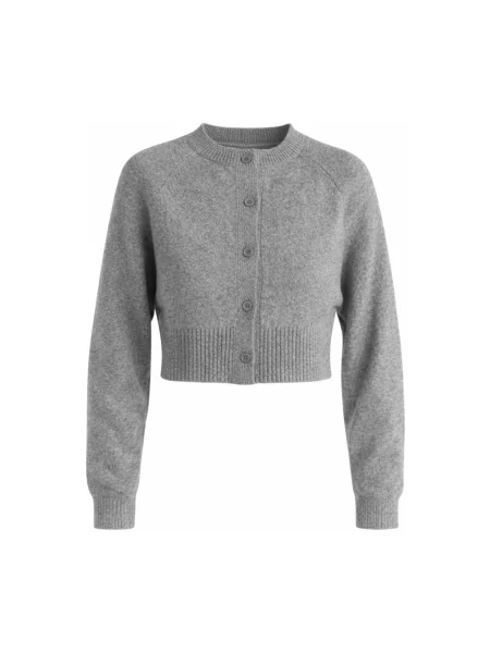 Sweter Guaja. z długim rękawem szary