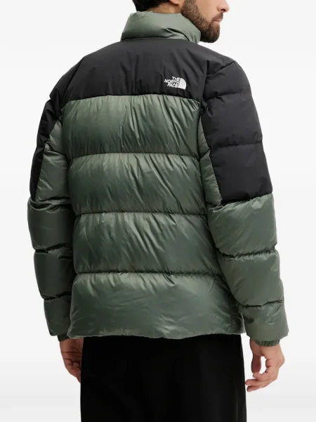 Jeździć na nartach kurtka narciarska The North Face zielona