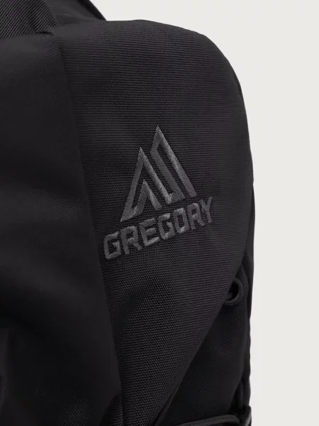 Gregory трекінговий рюкзак TERROS 20