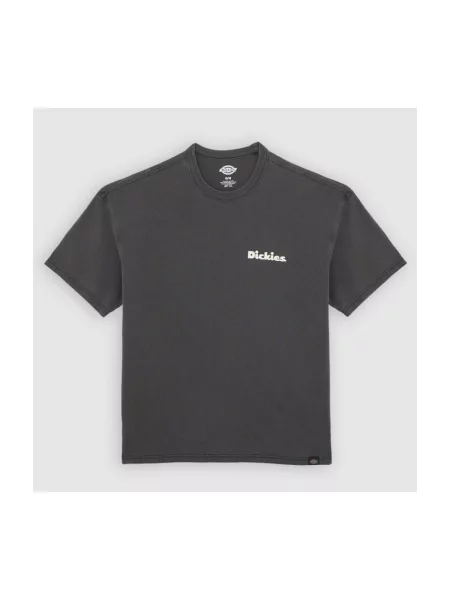 DICKIES Majica Slayden tamo siva bijela