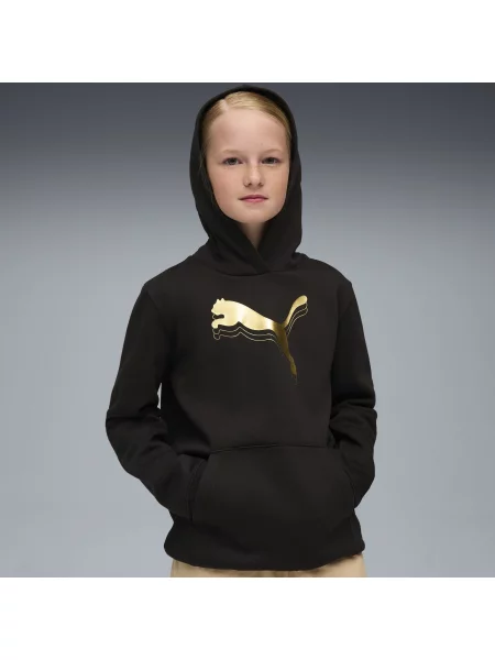 PUMA Młodzieżowa bluza z kapturem Essentials Metalic Akcesoria czarny