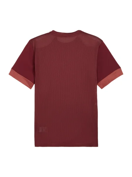PUMA Tricou funcțional roșu alb