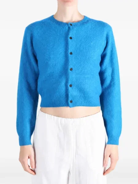 Cardigan Auralee albastru