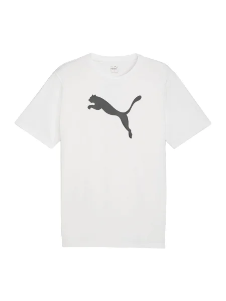 PUMA Tricou funcțional teamRISE gri alb