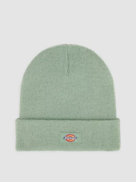 Шапка Dickies зеленая