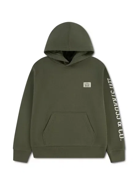 Levi's hanorac pentru copii cu SLEEVE HIT HOODIE verde
