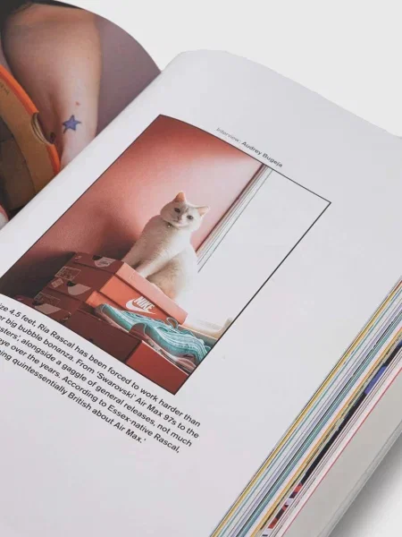 Sneakers Taschen Gmbh