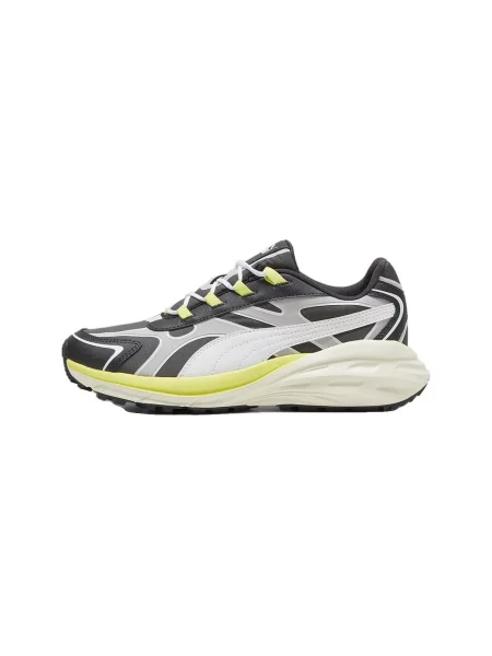 Pantofi Puma gri