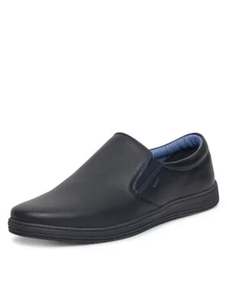 Polobotky Lanetti