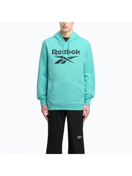 Hanorac pentru bărbați Reebok Identity Big Logo Fleece ai aqua