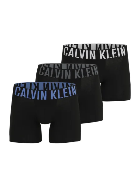 Calvin Klein Underwear Boksarice modra / siva / črna bela